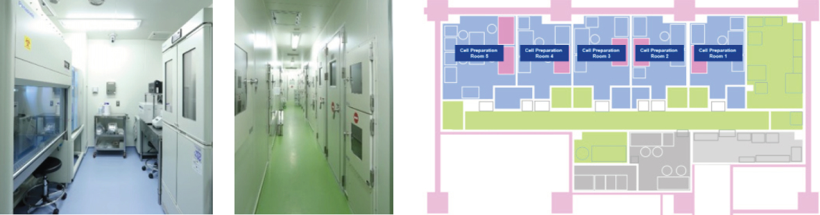 Cell Preparation Room