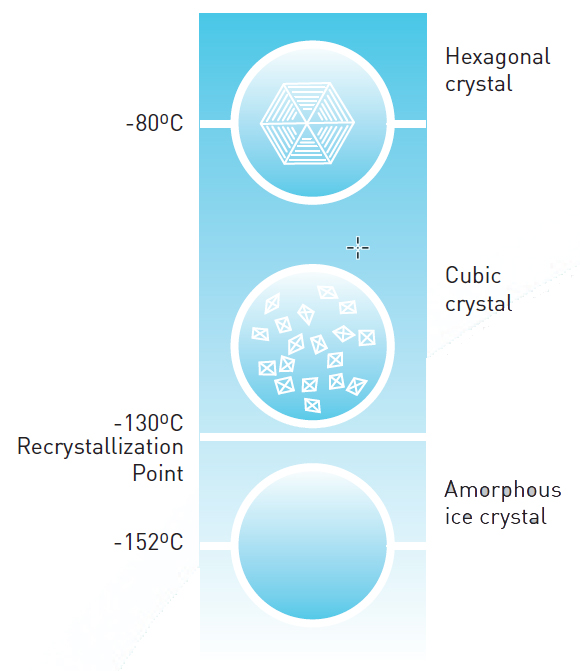 cryopreservation