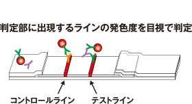 判定部に出現するラインの発色度を目視で判定