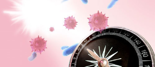 プレプセシンキット