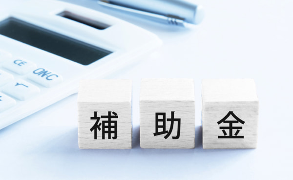 【2025年】診療所の電子カルテ導入に使える補助金完全ガイド