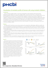 metabolic profile white paper