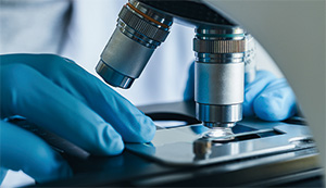 非臨床試験受託サービス