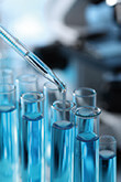 Bioanalysis Service